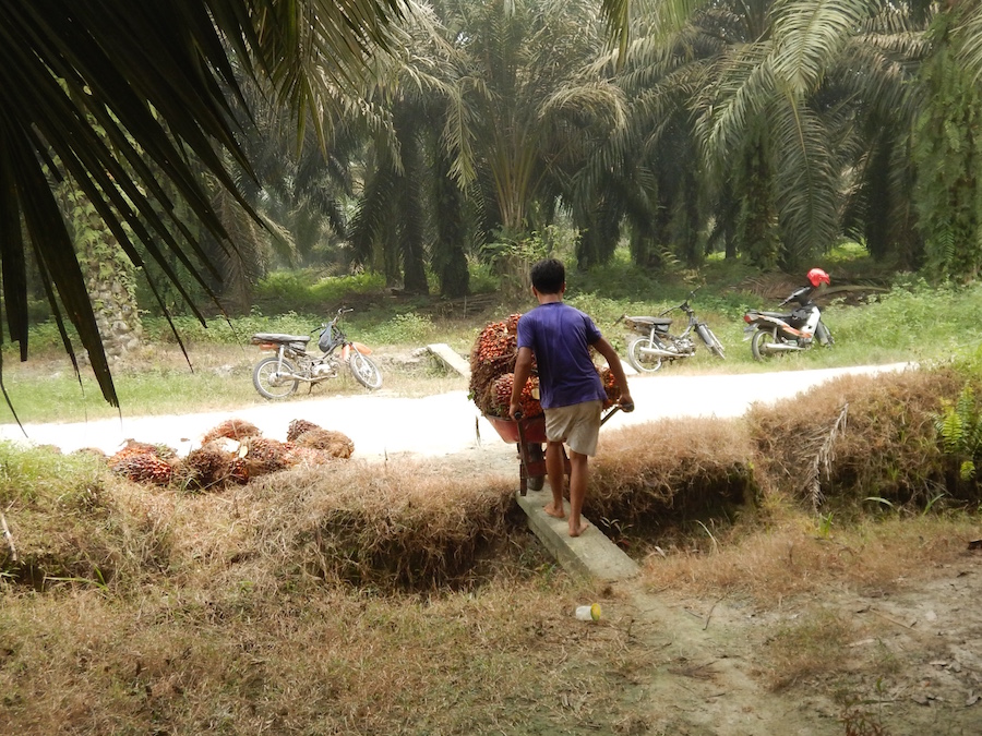 Child_Blur_Wheelbarrow_2_Back.jpg
