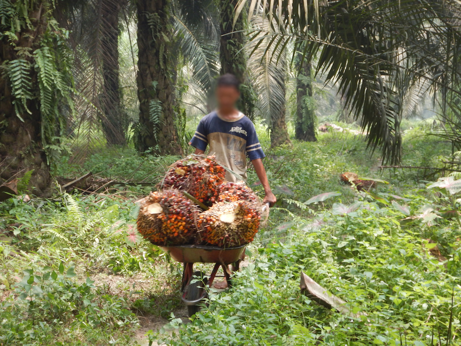 Child_Wheelbarrow.jpg