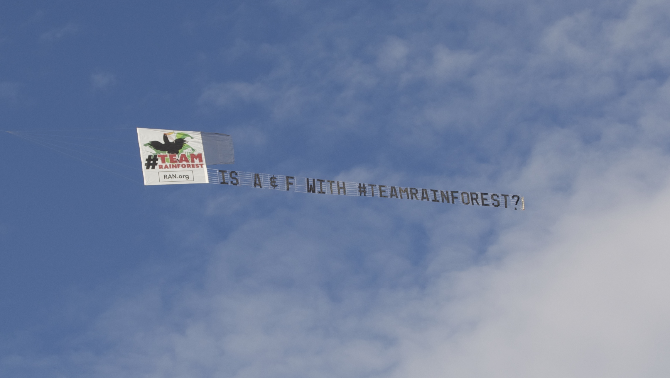#TeamRainforest Airplanebanner