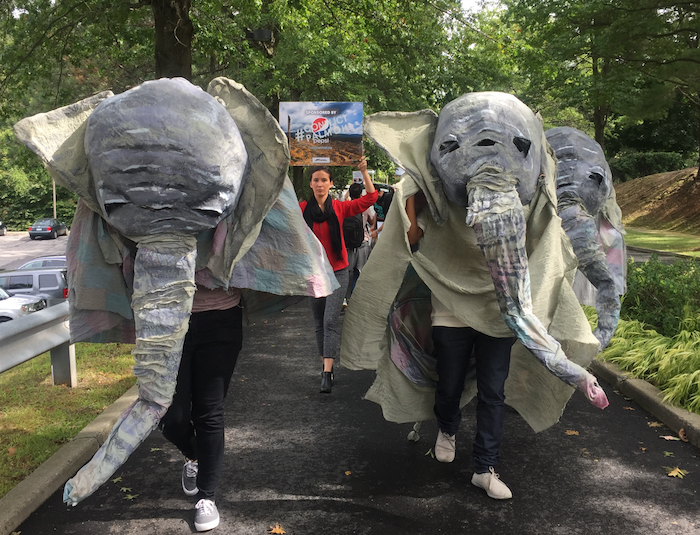 2_elephants.png