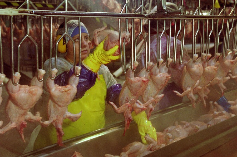 Woman_on_Poultry_Processing_Line_EarlDotter_Tyson6.jpg