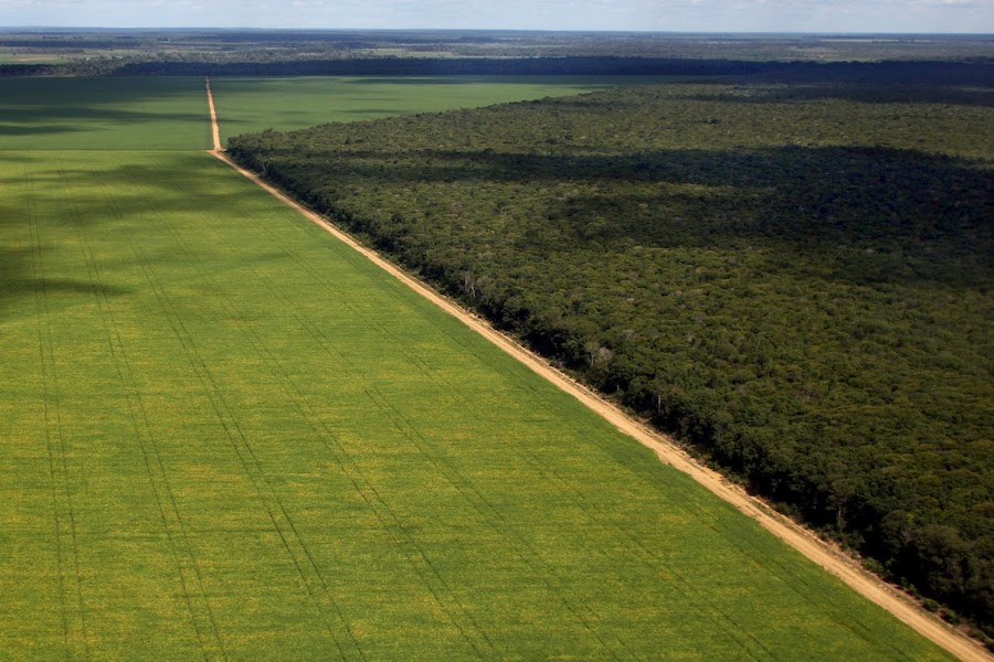 Soya_plantation_in_Matto_Grosso_Lou_Dematteis_Tyson13.jpg