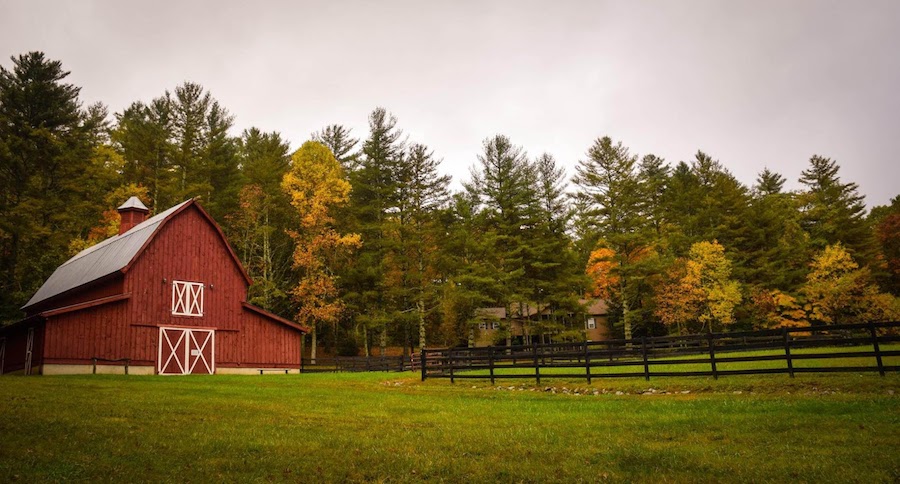 8_-_family_farm_-_photo_-_Frances_Gunn.jpg