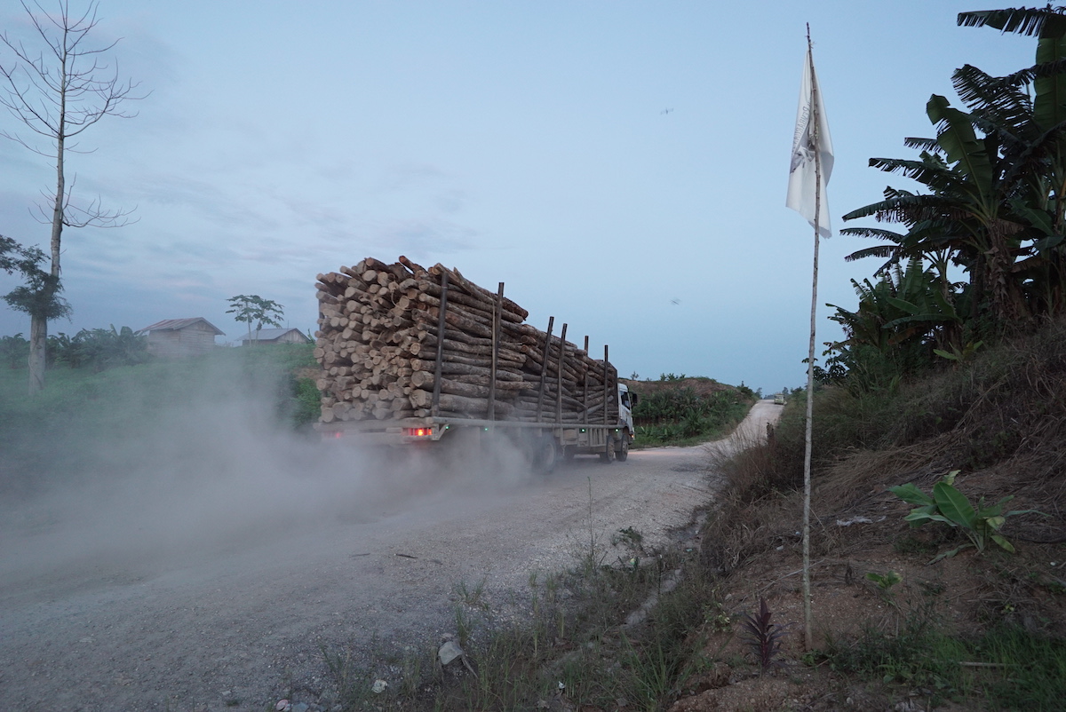 LoggingTruck1200.jpg