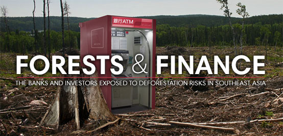 Forests & Finance - The banks and investors exposed to deforestation risks in Southeast Asia