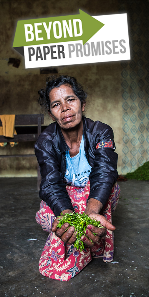 Beyond Paper Promises - Amplifying Frontline Resistance to Protect Forests and Human Rights