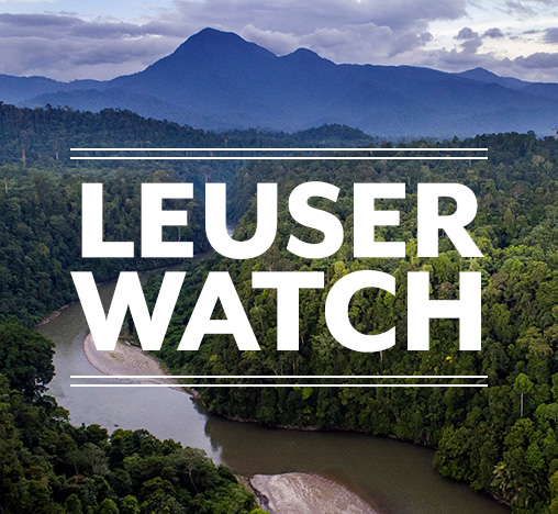 Leuser Watch