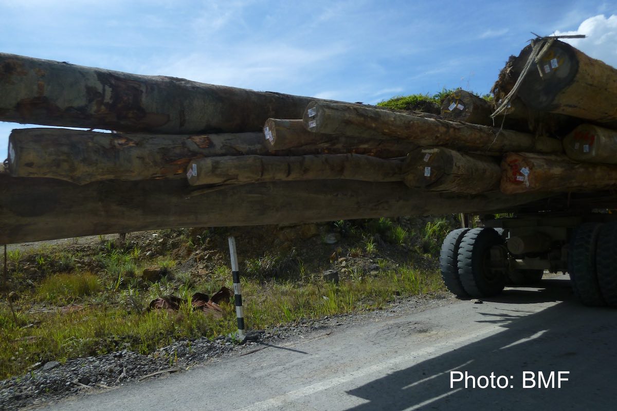 pic2_Shin-Yang_logging_truck.jpg
