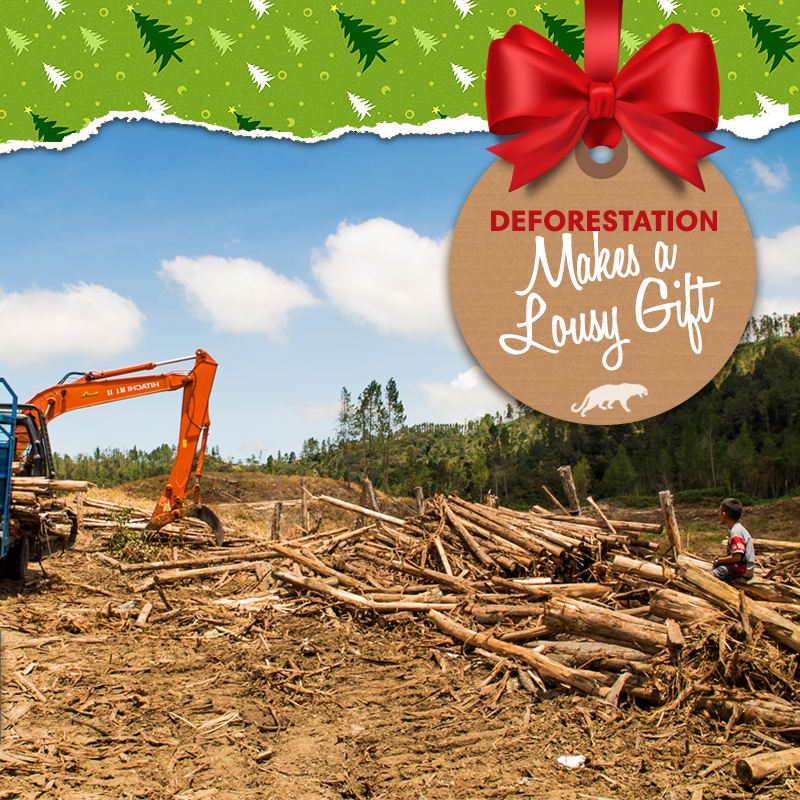 Deforestation_Gift_-_FB_-_v1.png