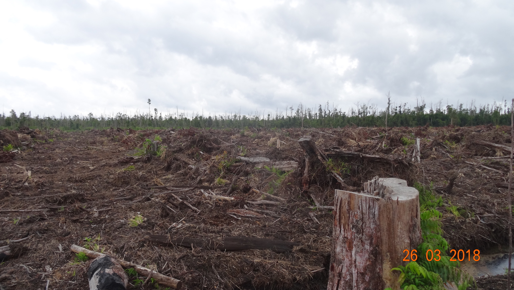 Landclearing March 2018 SPS2 Landclearing March 2018 SPS2