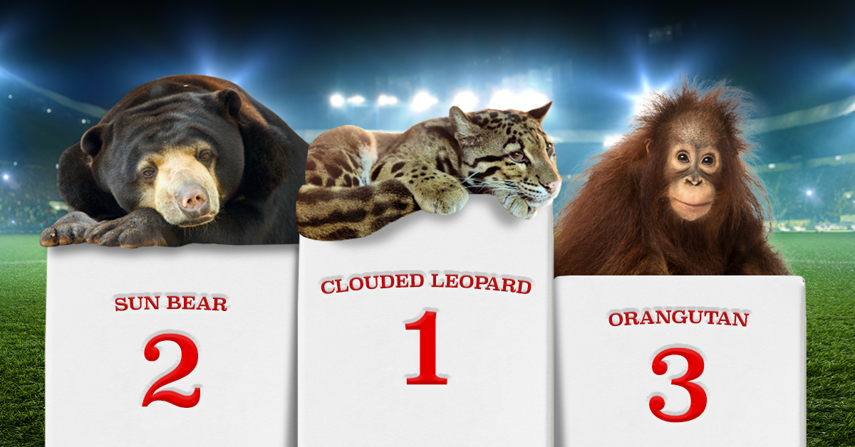 Olympic Destruction Endangered Species on Podiums