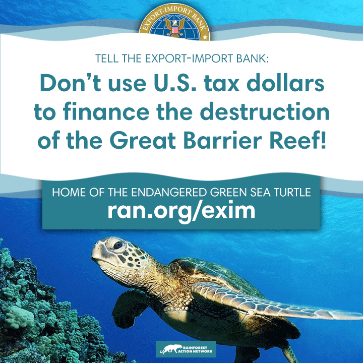 EXIM_turtles_FB_v2.png