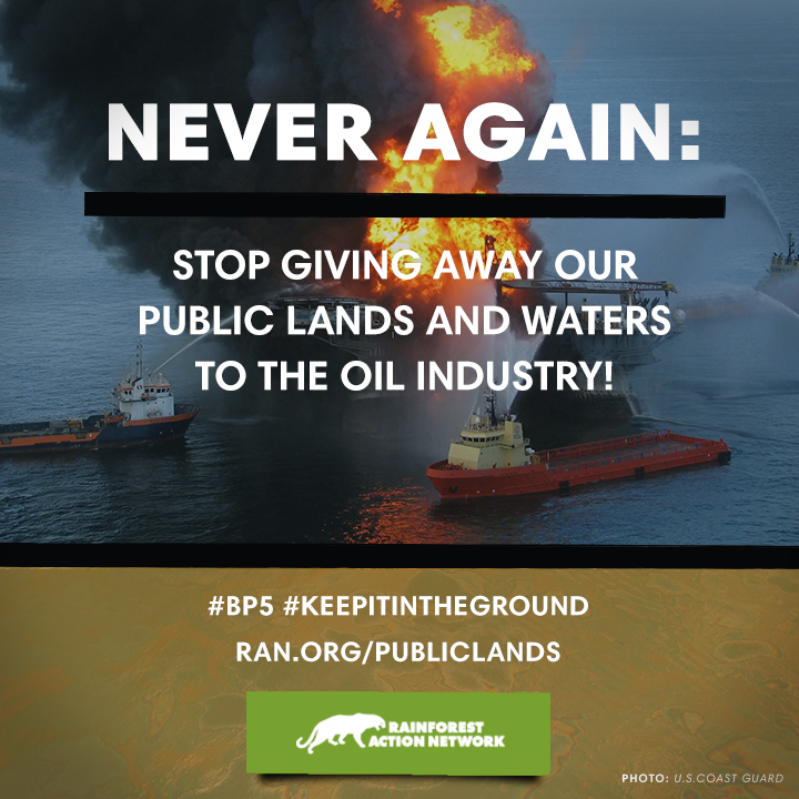 BP5_NEVER_AGAIN_440x220.png BP5_NEVER_AGAIN_720x720_2.png