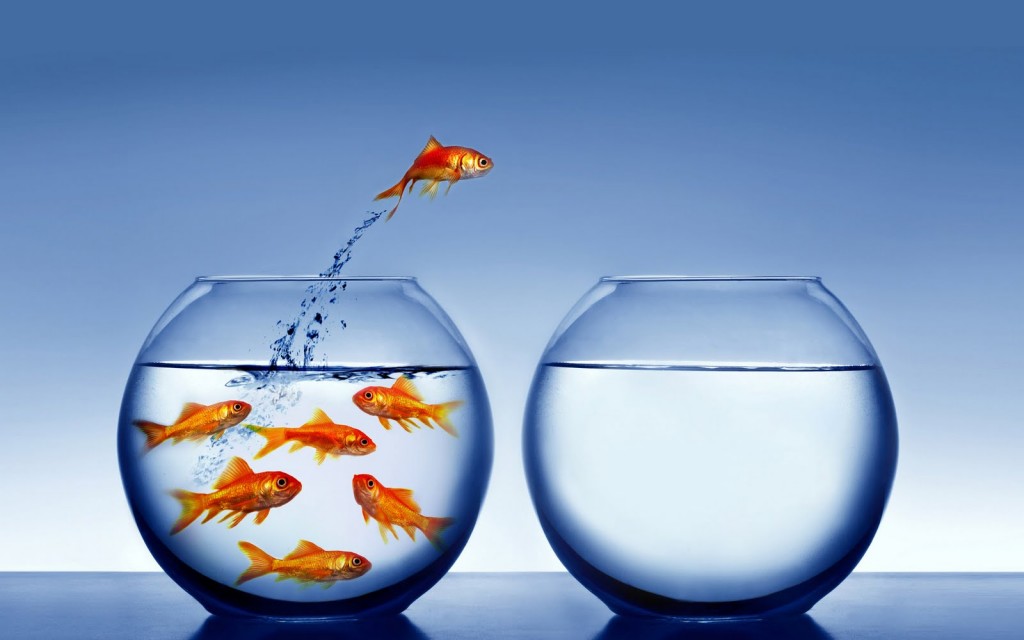 fishintroverts-1024x640.jpg
