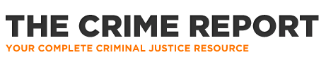 The Crime Report: Gingrich urges bipartisan effort to reform criminal justice
