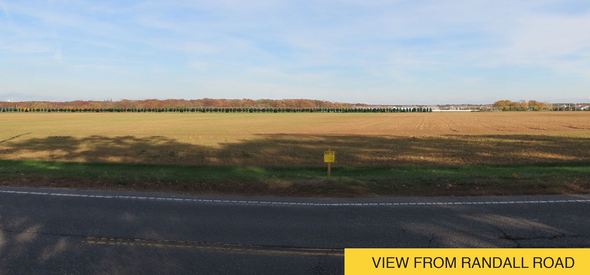 view_from_randall.jpg