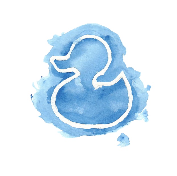 bleuduck.jpg