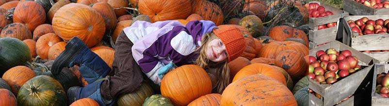 applepumpkin.jpg applepumpkin.jpg