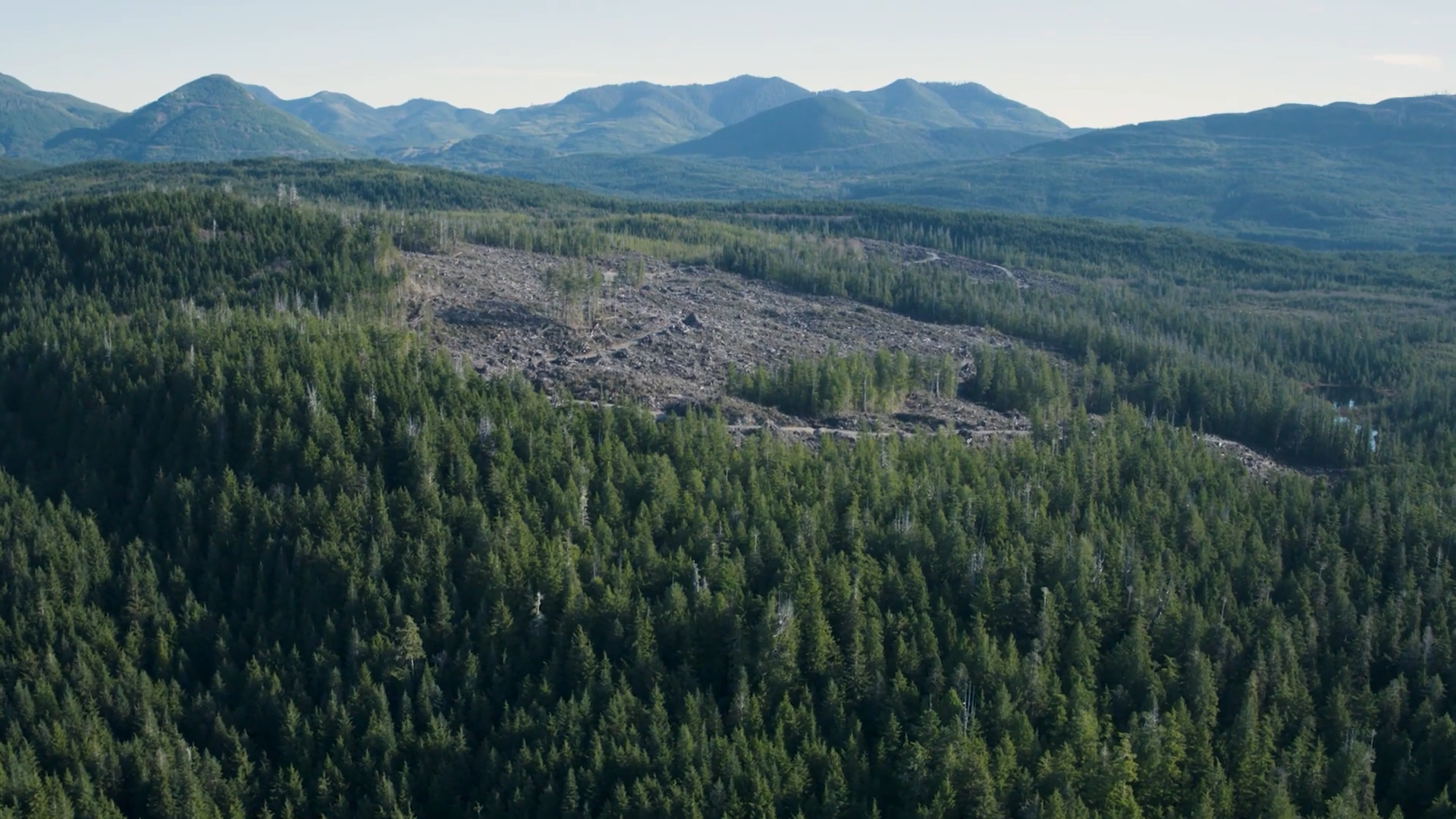British Columbia Forests