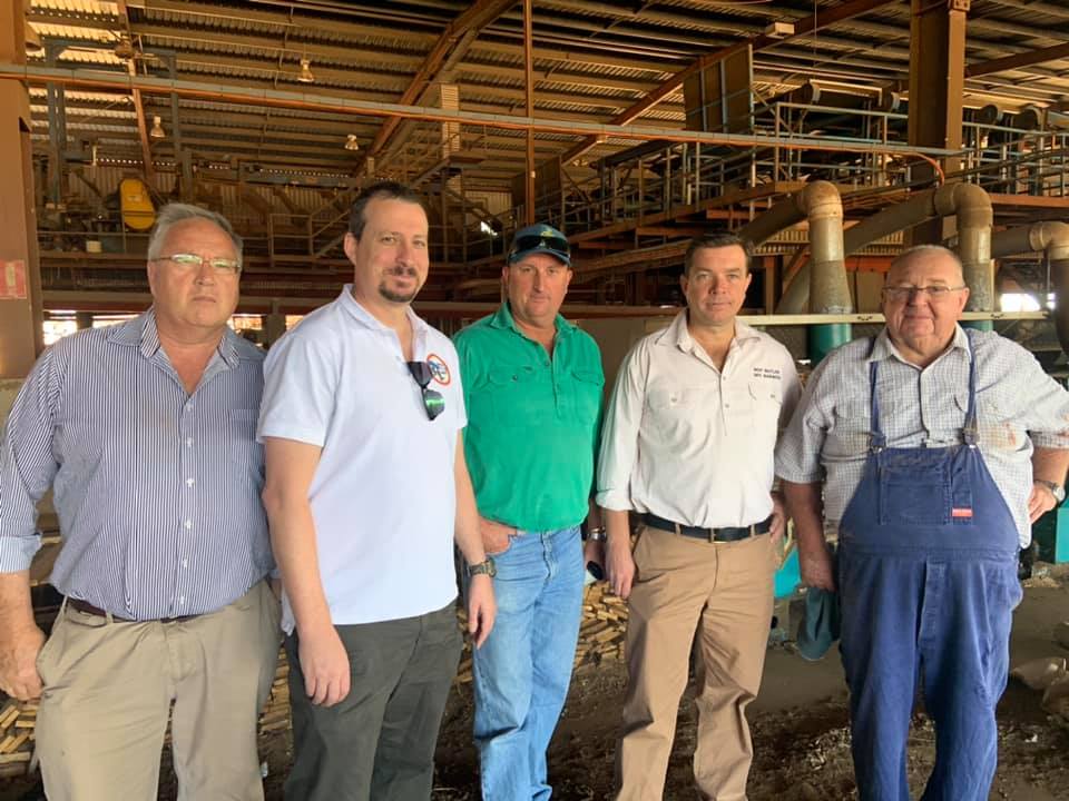 Working to restore a sustainable timber industry in Baradine Image