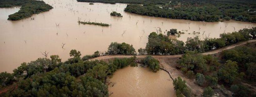 Environmental agency illegally taking water – Government must properly account for Toorale diversions Image