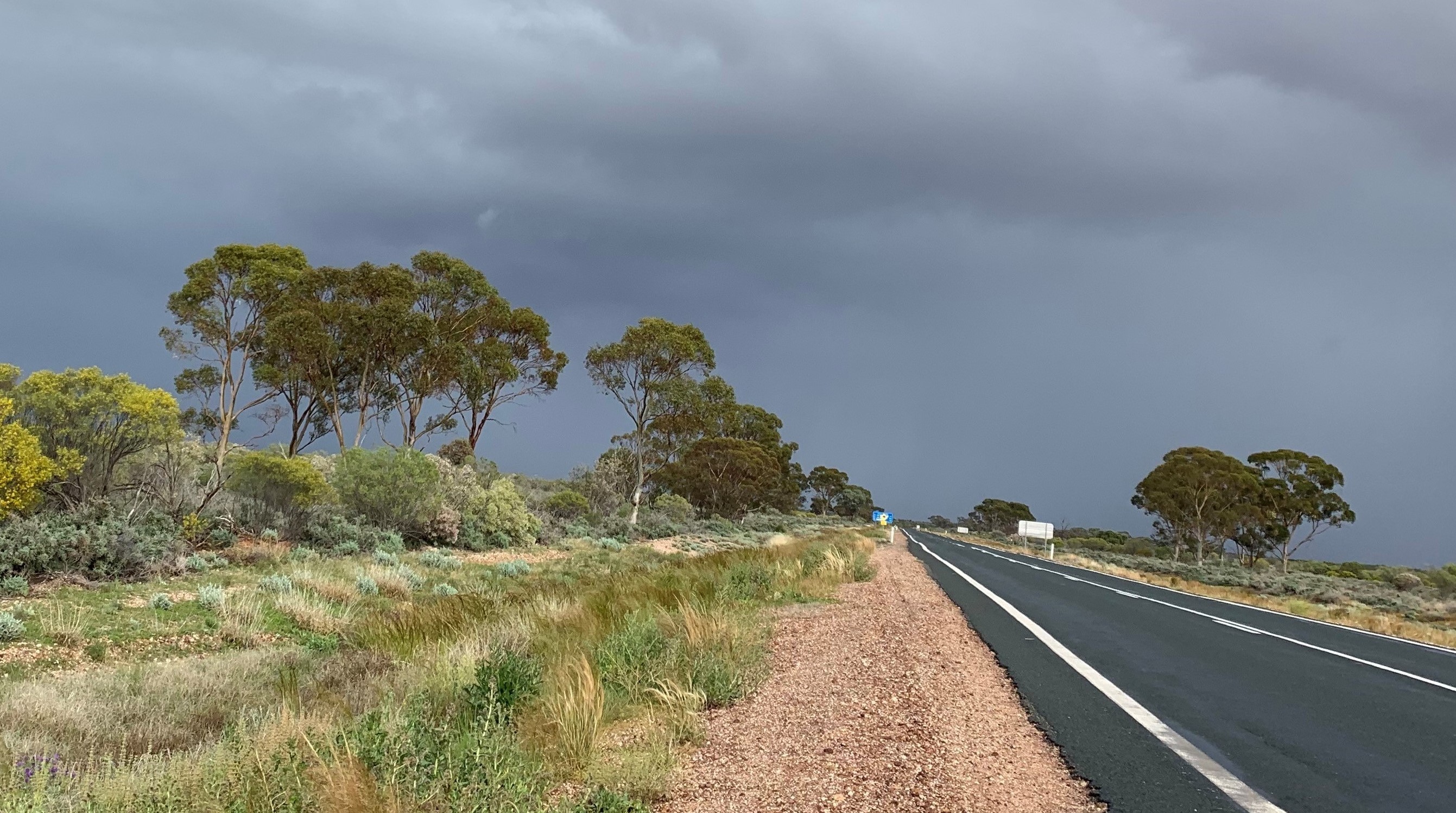 Far West drenched with record rainfall Image