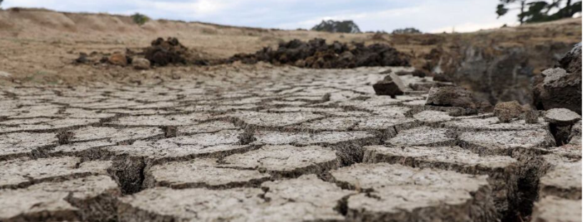 Stop shuffling around bureaucrats and provide real drought support Image