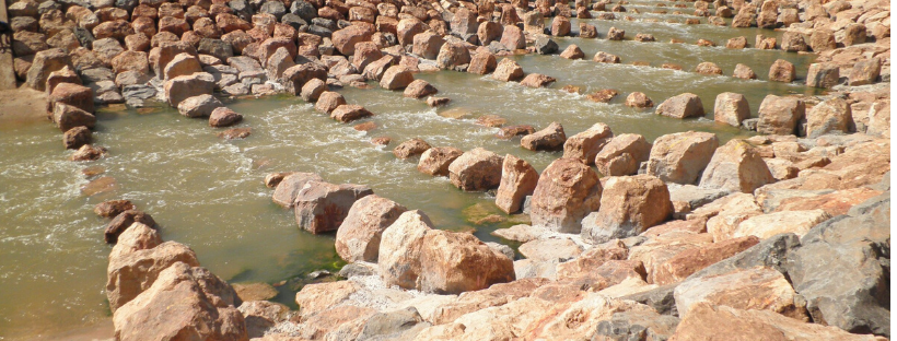 Re-establishment of natural rock weirs along the Darling should be a priority Image