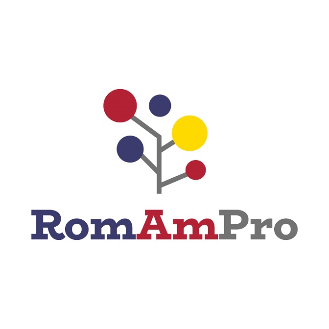 Romanian-American Professional Network
