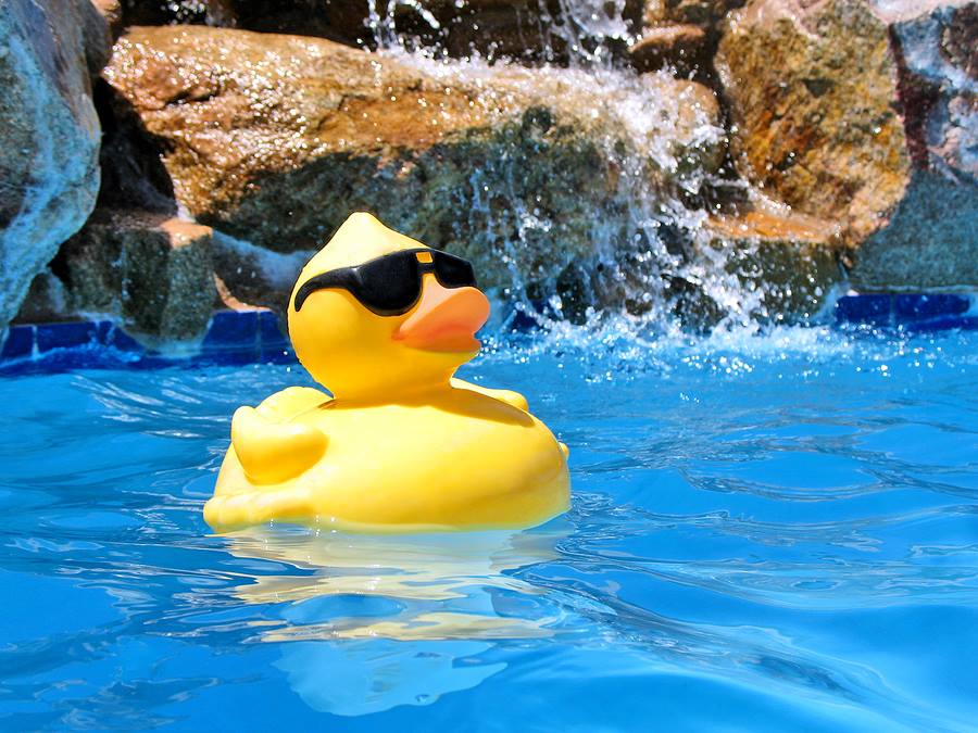 Pool_Party_Image.jpg Pool_Party_Image.jpg