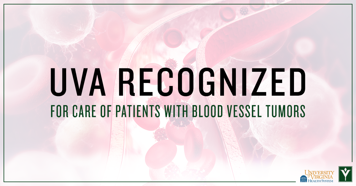 2020 Presidential Poll