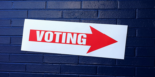 voting_graphic_528x262.jpg