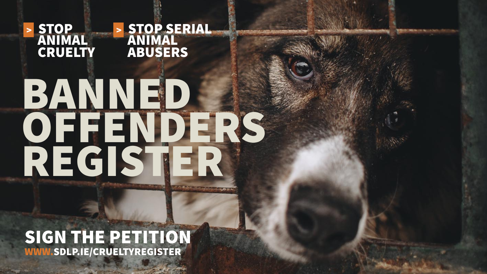 All Island Animal Cruelty Register Social Democratic And Labour Party