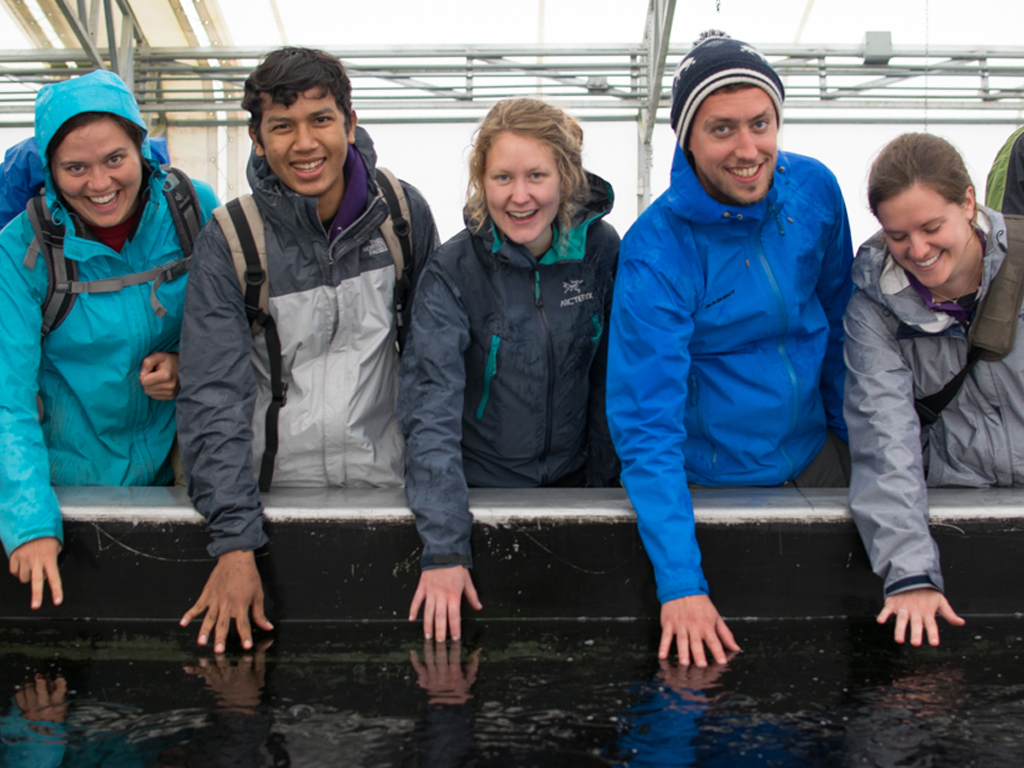 Why do salmon jump? Exploring the Medvejie Hatchery in
