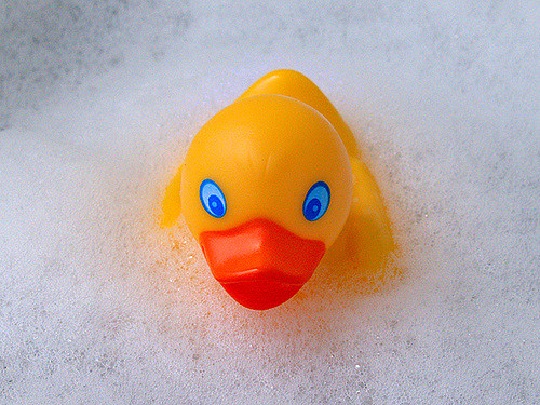 Plastic duck in bubble bath