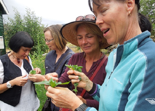 People sharing their food stories.