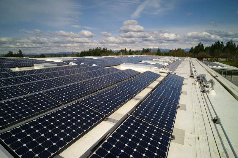 Riverview & Machias Elementary School Solar Washington