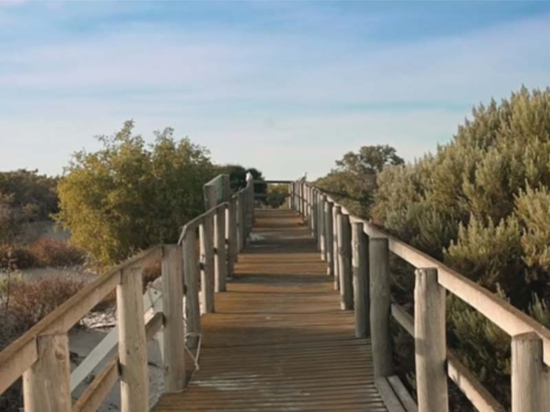 Visit the Yorke Peninsula