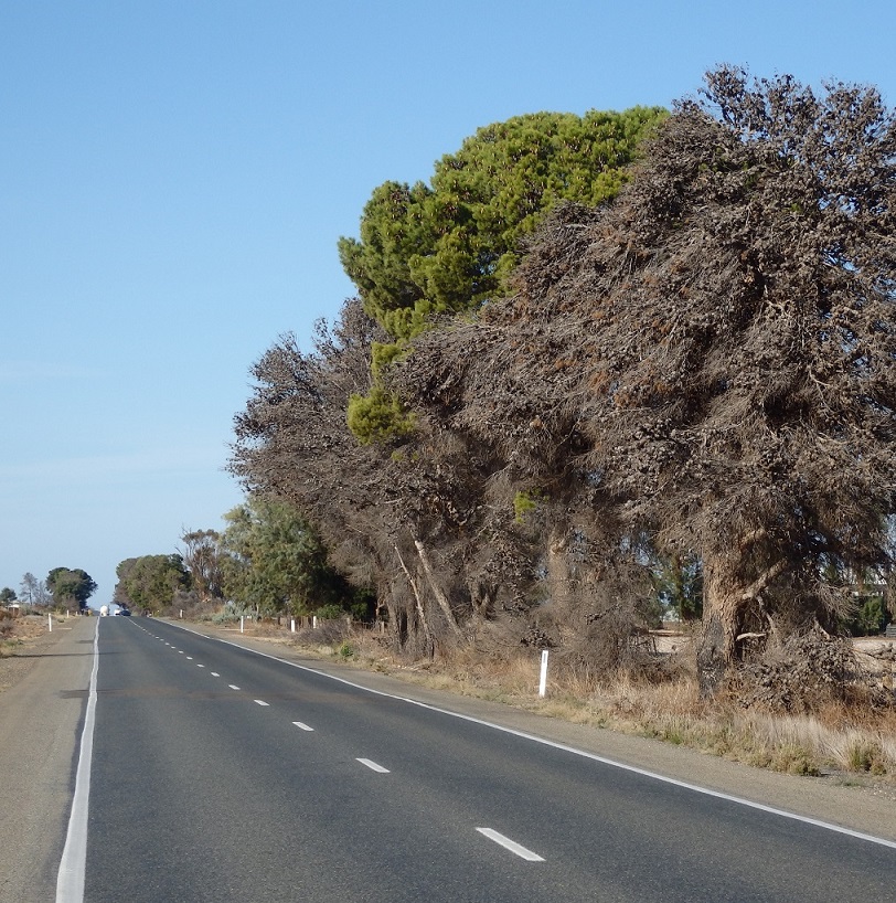 $5.67 Million Roads Investment Confirmed