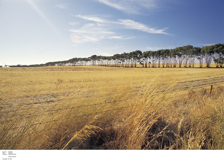 New Award to recognise SA's outstanding Agricultural communities