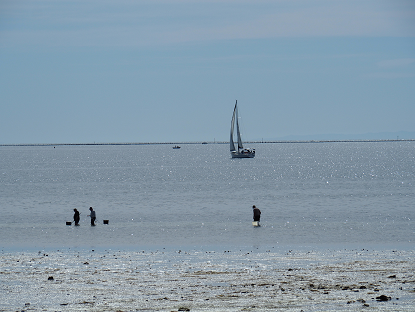 Funding for coastal protection efforts across SA