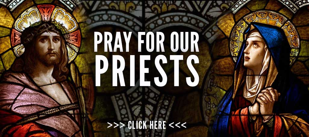 Pray for Priests TY LP - Catholic Action For Faith and Family
