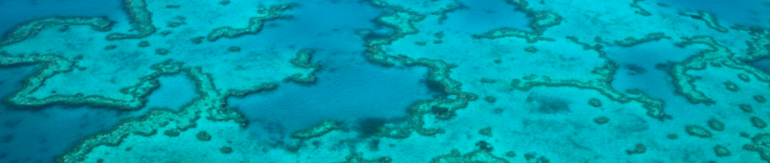 aerial shot of the Great Barrier Reef