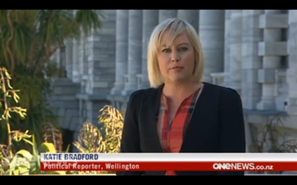 TVNZ screenshot