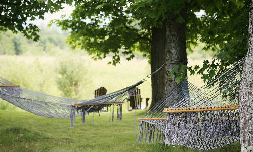 Relaxing in a field