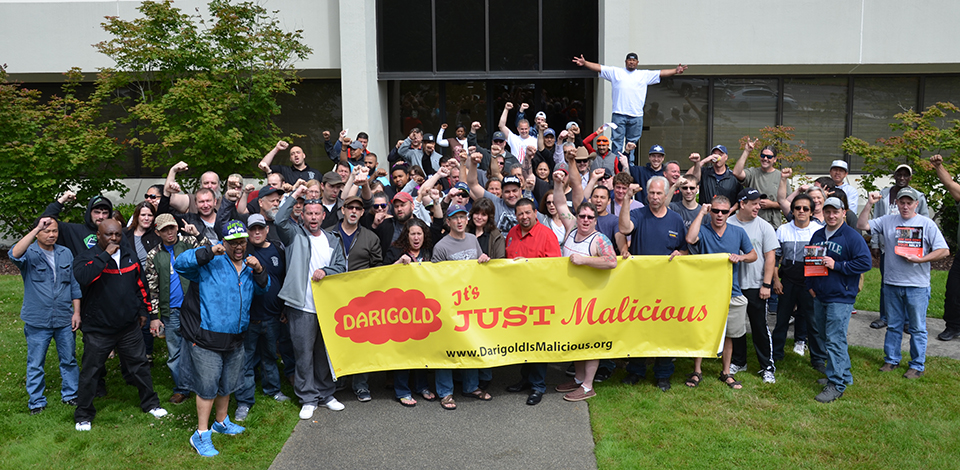 Teamsters At Darigold Vote To Strike Teamsters 117
