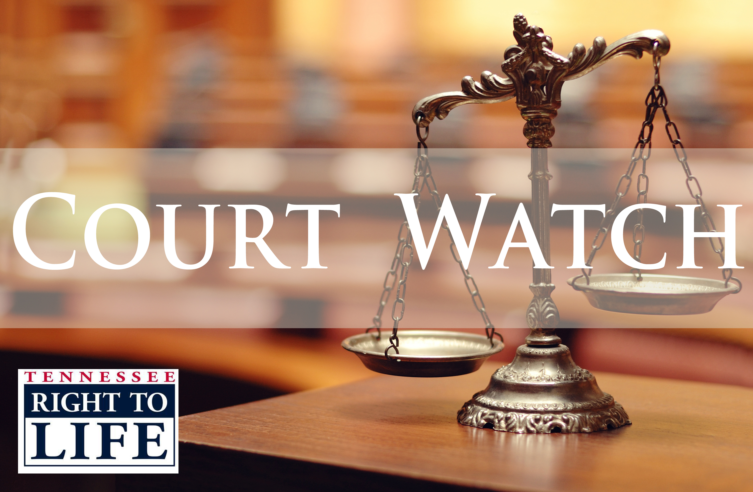 Key Court Hearings On Life In TN This Week Tennessee Right To Life Key Court Hearings On Life In TN This Week Tennessee Right To Life