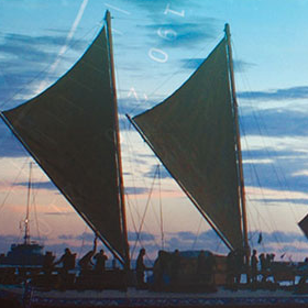 Photo of Corey - Whangarei