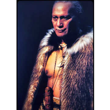 The Kūmara Van's profile picture