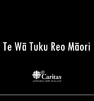 Photo of Caritas Aotearoa New Zealand - Wellington